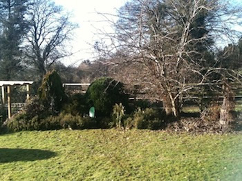 A bespoke painted satellite dish installation